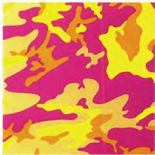 WARHOL Kamuflaż 96,52 x 96,52 cm Oznaczenie: 63/80 Kraj kradzieży: USA 2011/5865-1.11 18. 9 20.