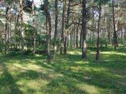 kilkaset metrów od linii brzegowej
