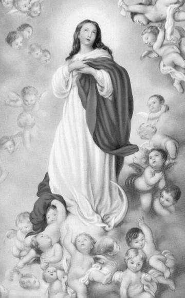 Burt (Tomkiewicz Family) Monday - Poniedziałek - August 13 7:00 pm + Włodzimierz Wagner (Kessler Family) Novena to St.