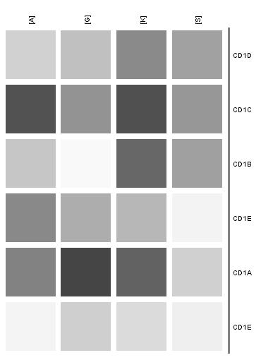 The expression of CD1 gene family was compared between the following groups: group 1 uninfected NHDF cells (K), group 2 Borrelia afzelii-infected NHDF cells (A), group 3 Borrelia garinii-infected