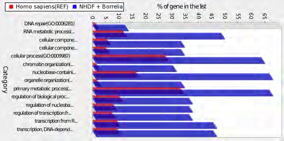 SAFB scaffold attachment factor B SMARCC2 SWI/SNF related, matrix associated, actin dependent regulator of chromatin, subfamily c, member 2 STAG2 stromal antigen 2 SUPT5H suppressor of Ty 5 homolog