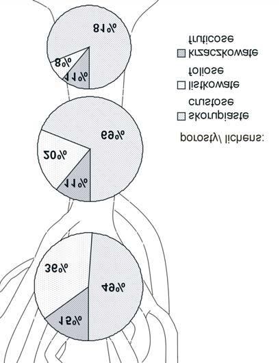 A. ubek / Leœne Prace Badawcze, 2012, Vol. 73 (1): 23 32. 29 Lp.