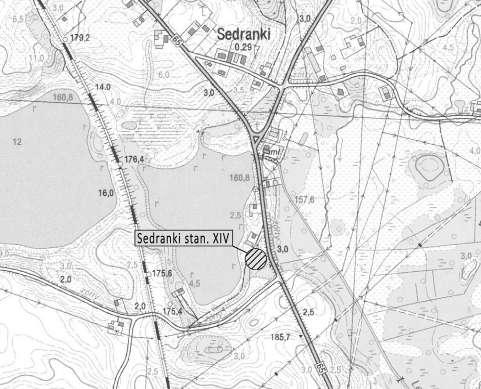 Materiały do Archeologii Warmii i Mazur, Tom 2 red. S. Wadyl, M. Karczewski, M. Hoffmann Hubert Augustyniak, Monika Włodarczak Badania archeologiczne na nowożytnym cmentarzu w Sedrankach stan.