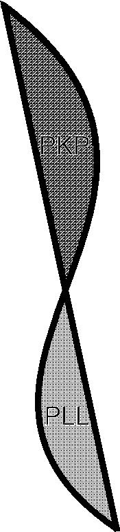 Poniższe parametry służą do zdefiniowania kształtu kręgosłupa w płaszczyźnie czołowej [45] Liczba łuków; Liczba przecięć kręgosłupa z linią C7-S1 [46] Łuk prawostronny: długość, strzałka, kąt [47]