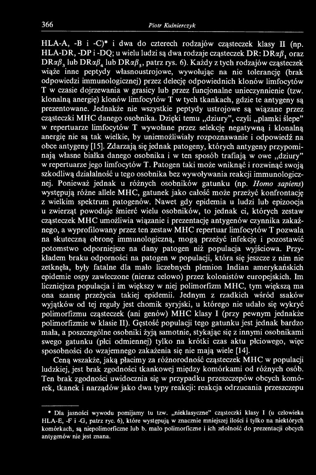 Każdy z tych rodzajów cząsteczek wiąże inne peptydy własnoustrojowe, wywołując na nie tolerancję (brak odpowiedzi immunologicznej) przez delecję odpowiednich klonów limfocytów T w czasie dojrzewania