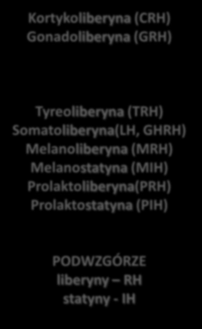 Kortykotropina (ACTH) Follitropina (FSH), Lutropina (LH) Tyreoliberyna (TRH)