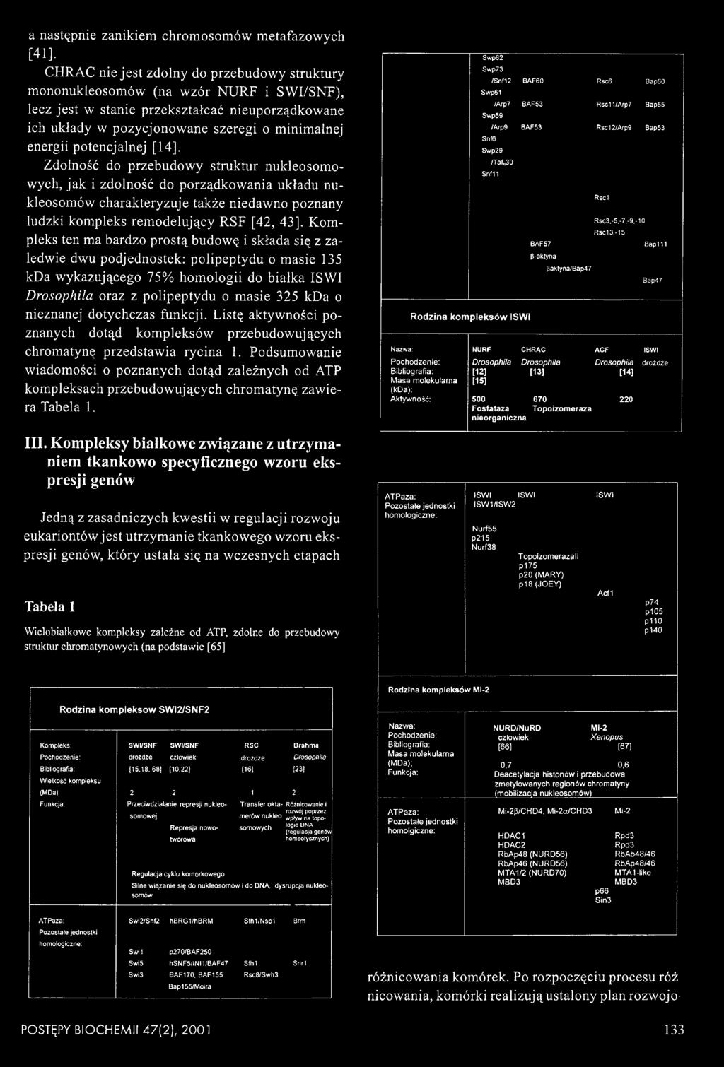 potencjalnej [14]. Zdolność do przebudowy struktur nukleosomowych, jak i zdolność do porządkowania układu nukleosomów charakteryzuje także niedawno poznany ludzki kompleks rem odelujący RSF [42, 43].