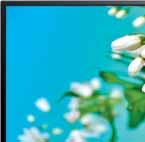 39 TECHNOLOGIA NA CO DZIEŃ HDMI x 3 USB A+ klasa energetyczna HDMI x 2 USB A klasa energetyczna Telewizor 39 SMARTTECH LE-39Z1 69