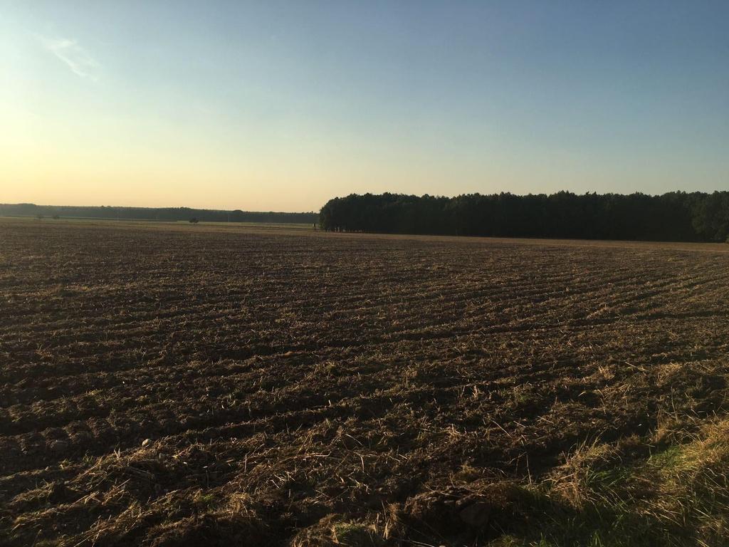 Raport o oddziaływaniu przedsięwzięcia na środowiska dla budowy