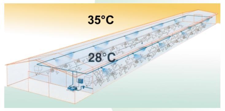 2.4.1.1.4. System nawilżania Nadmierne temperatury w budynku obniżają wydajność zwierząt i mogą prowadzić do zwiększonych upadków.