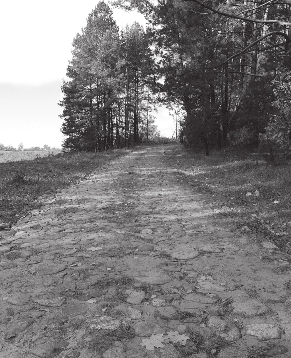 4 Amsūnas. Prisiminimai apie Liškiavos žmones Senasis kelias į Ricielius prie Tenenės daubos. Šituo keliu iš Liškiavos galima buvo pasiekti ir Liepiškius, nors buvo ir trumpesnis kelias.
