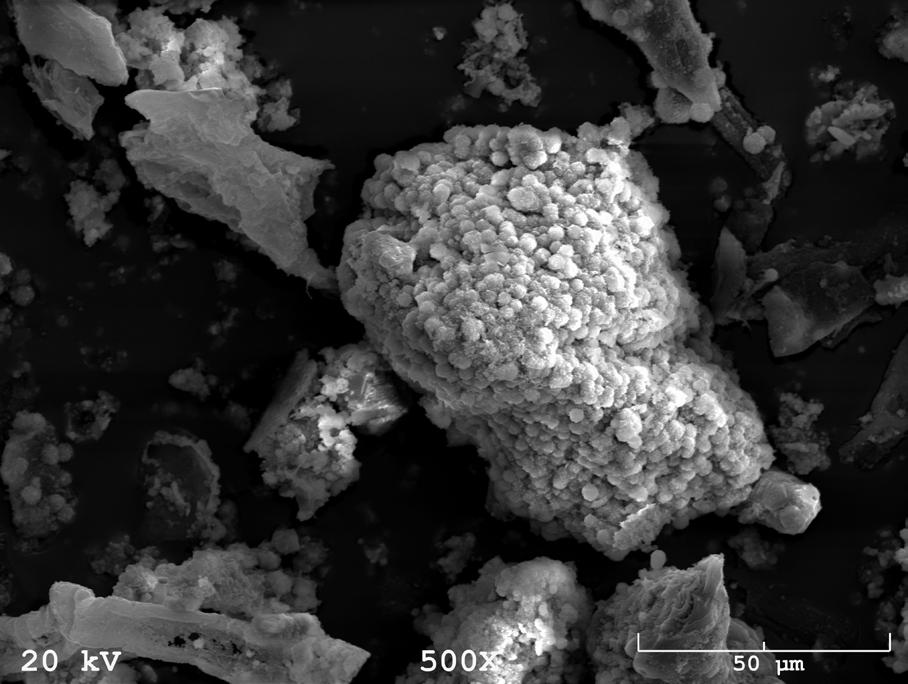 SEM image of zeolitic material obtained through hydrothermal