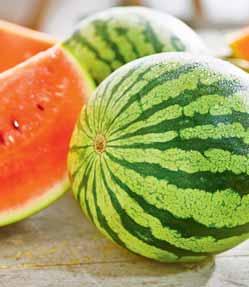 bogactwo minerałów i witamin MELONY I ARBUZY