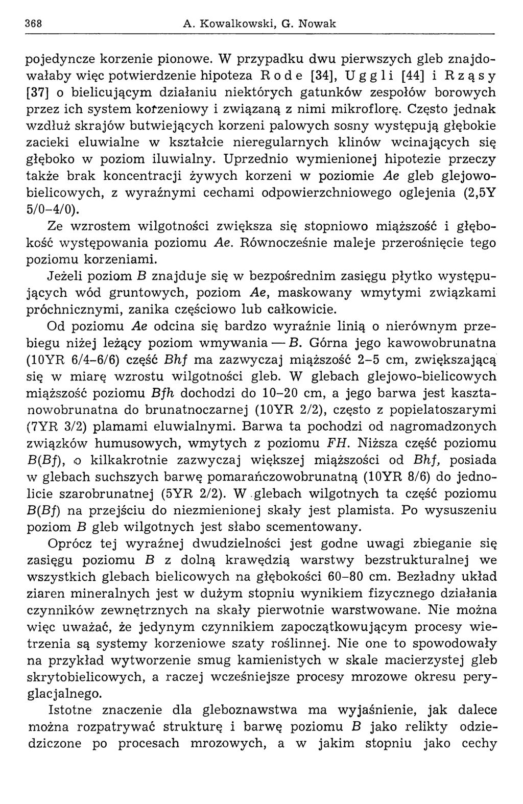 368 A. Kowalkowski, G. Nowak pojedyncze korzenie pionowe.