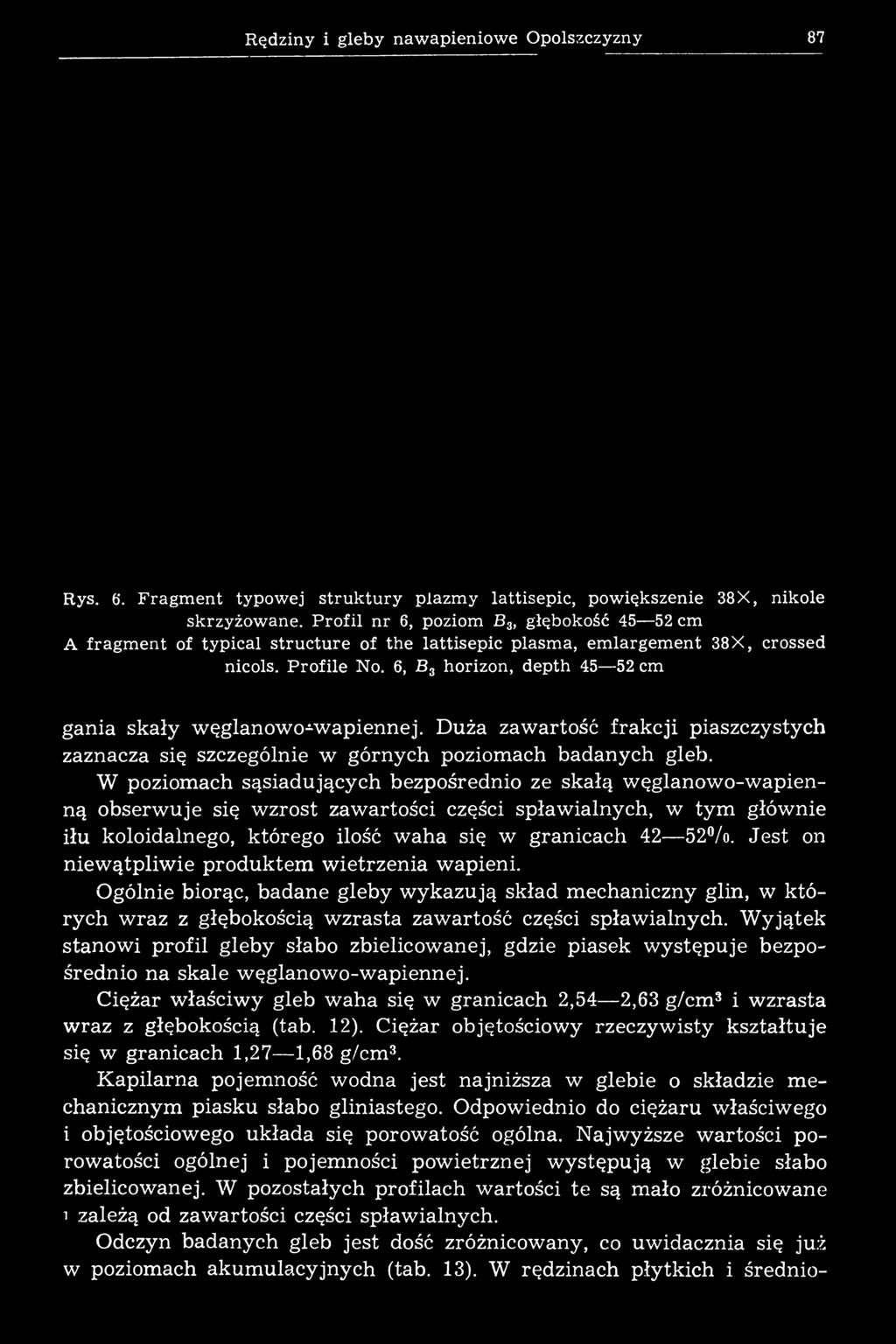 Rędziny i gleby nawapieniowe Opolszczyzny 87 Rys. 6*. F ragm ent typowej stru k tu ry plazm y lattisepic, powiększenie 38 X, nikole skrzyżowane.