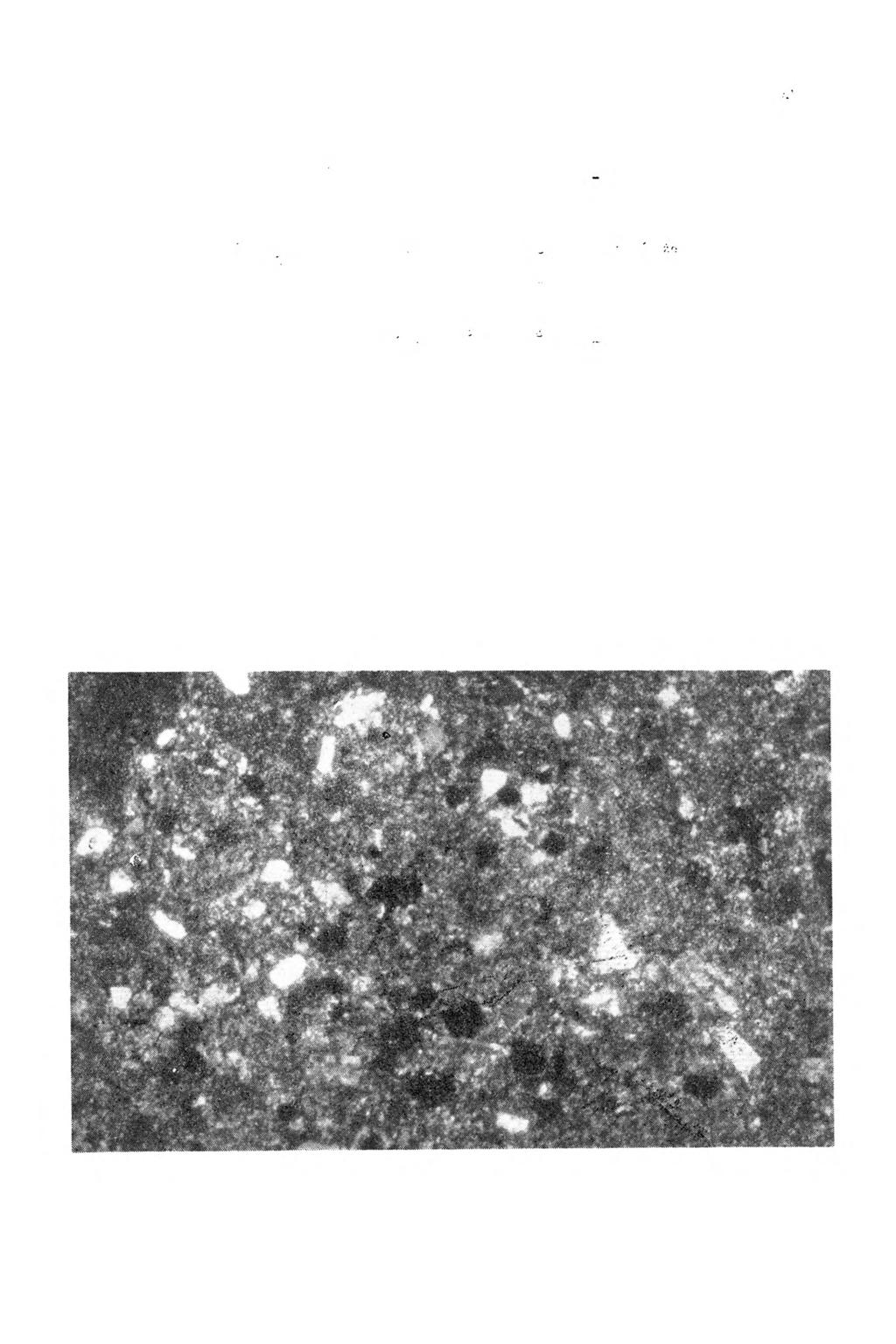 80 S. E. Licznar Bioformacje Bioformation Konkre сje Concretions Struktura elementarna Elementary structure cd.