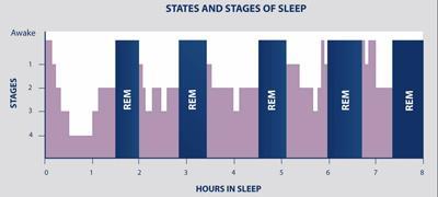 Fazy snu 20-25% REM (dorośli) Więcej i dłużej trwających faz REM pojawia się w trakcie postępu