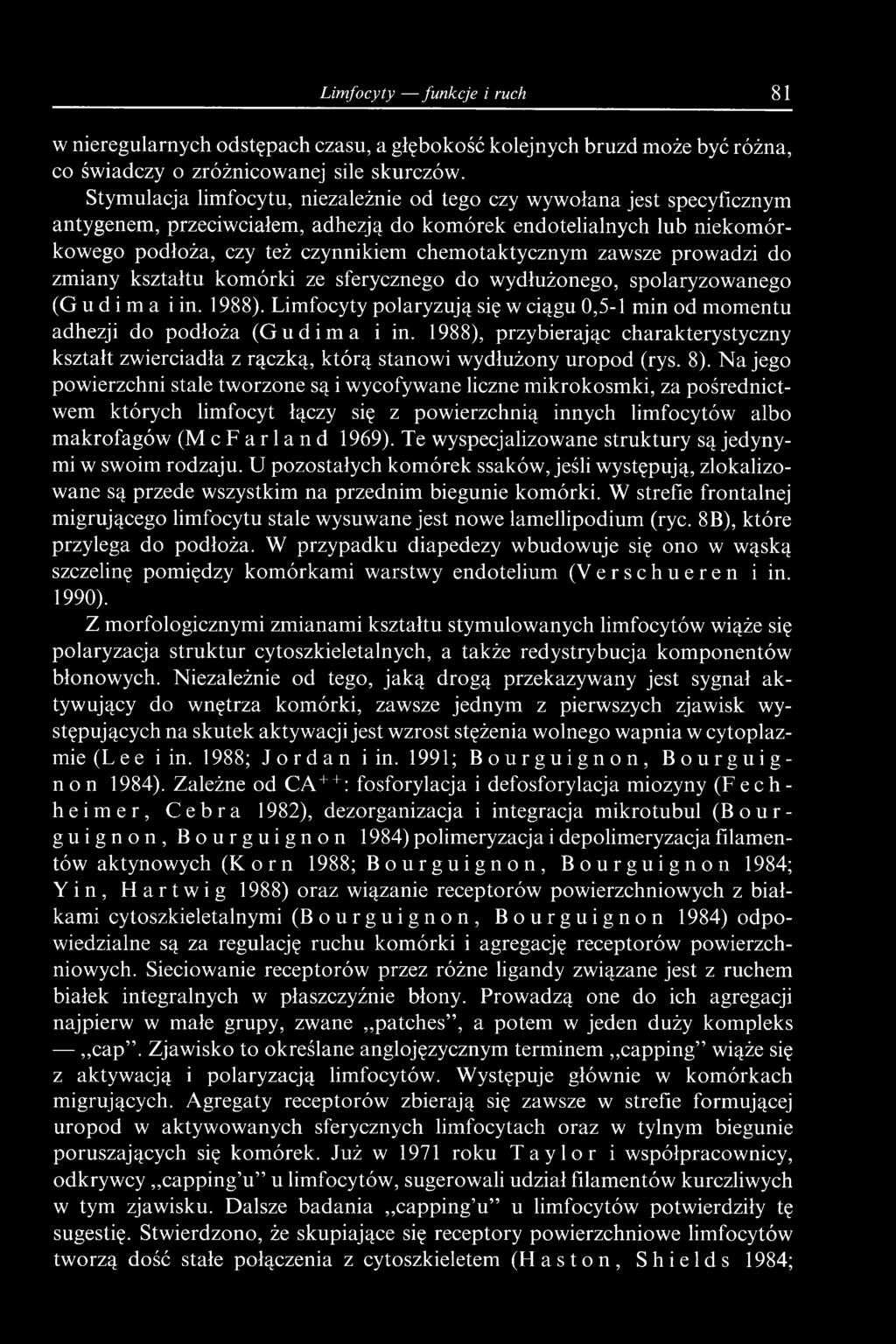 Na jego powierzchni stale tworzone są i wycofywane liczne mikrokosmki, za pośrednictwem których limfocyt łączy się z powierzchnią innych limfocytów albo makrofagów (M c F a r 1a n d 1969).