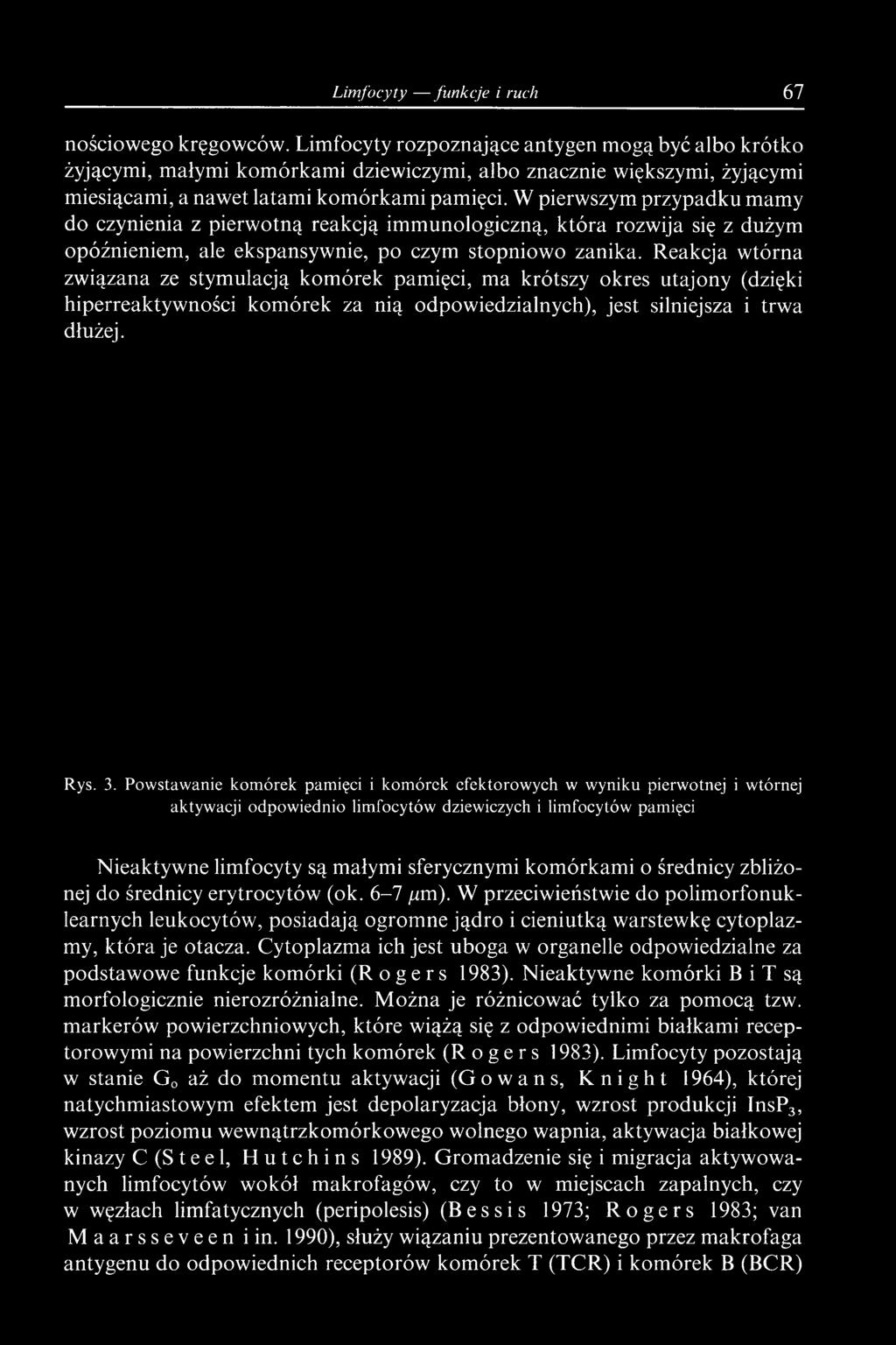 W pierwszym przypadku mamy do czynienia z pierwotną reakcją immunologiczną, która rozwija się z dużym opóźnieniem, ale ekspansywnie, po czym stopniowo zanika.