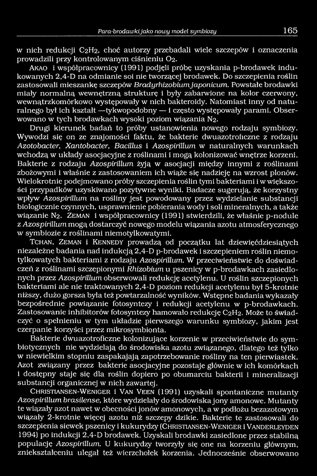 Do szczepienia roślin zastosowali mieszankę szczepów Bradyrhizobiumjaponicum.