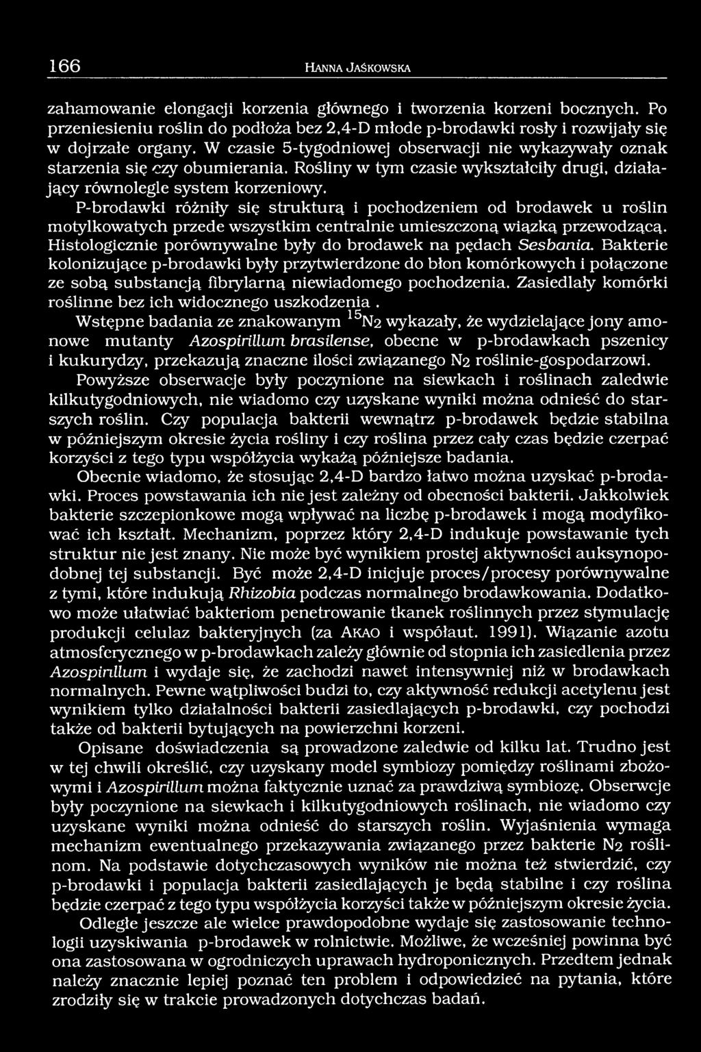 P-brodawki różniły się strukturą i pochodzeniem od brodawek u roślin motylkowatych przede wszystkim centralnie umieszczoną wiązką przewodzącą.