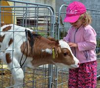 Adres: Východná 465, 032 32 Strona www. farmavychodna.sk Kontakt: +421 949 860 944 20.