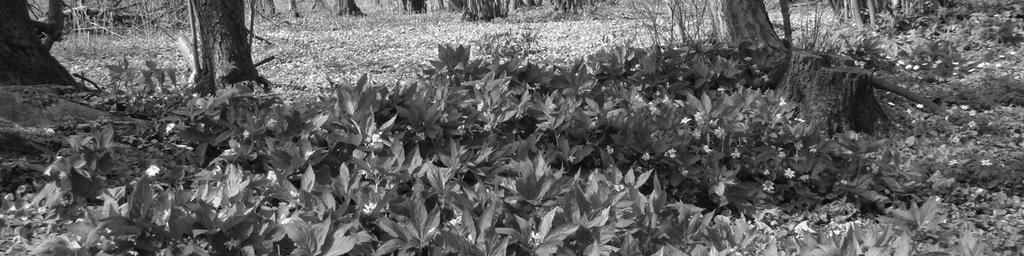 850 m2 in the 157 forest section; Phot. 1, Fig. 1, 2). The population size of D.