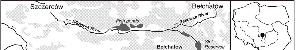 252 Dentaria enneaphyllos in the vincinity of the Bełchatów Coal Mine enneaphyllos occupies only 1 m 2 in the Stróża forest complex, located to the west from the Wola Wydrzyna, belonging to the above