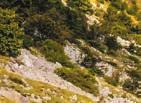26 broj 561 / 21. rujna 2018. PREDSTAVLJAMO Ovogodišnji Highlander Velebit trajao je od 1. do 5.