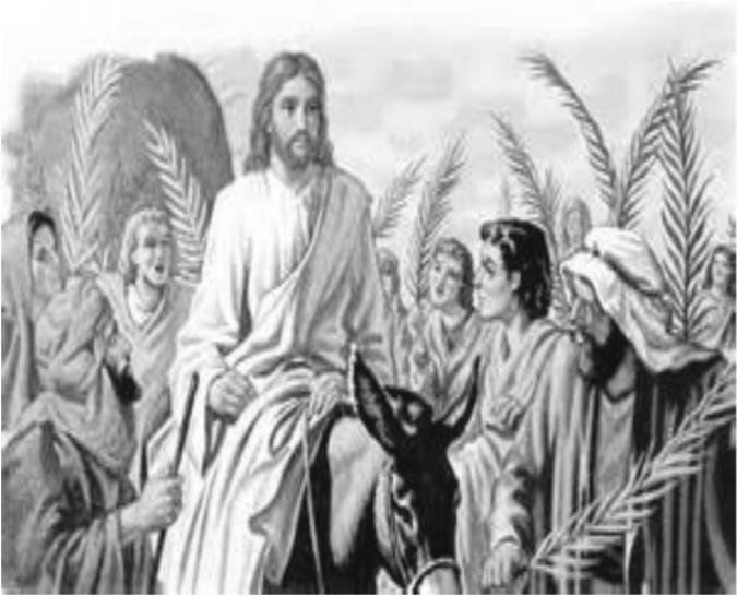 The Go, and do not sin again." (Jn 8:11.