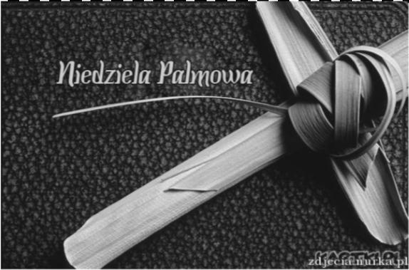 Nie potępiam Rzekł do niej Jezus: I Ja ciebie nie potępiam. Idź, a od tej chwili już nie grzesz". Greckie słowo katakrino oznacza wypowiedzenie wyroku skazującego, potępię- 0?C nie.