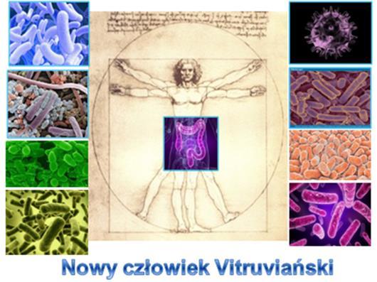 Katedra Immunologii i Biologii Infekcyjnej Kierownik prof. zw. dr hab.
