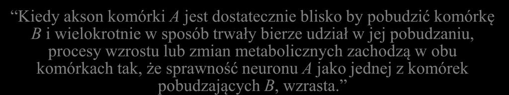 komórkę B i wielokrotnie w sposób