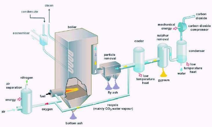 Vattenfall Group project - Oxyfuel