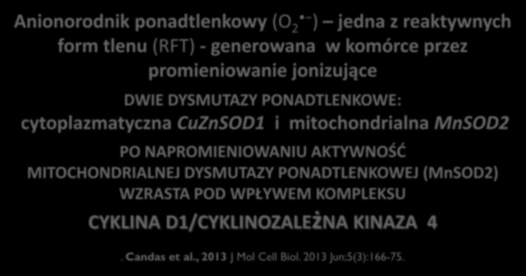 Anionorodnik ponadtlenkowy (O 2 ) jedna z reaktywnych form tlenu (RFT) - generowana w komórce przez