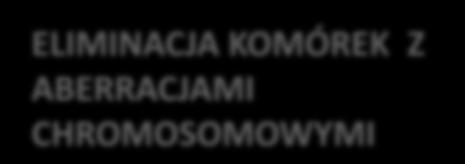 CHROMOSOMOWYCH ELIMINACJA KOMÓREK Z ABERRACJAMI CHROMOSOMOWYMI POPULACJA
