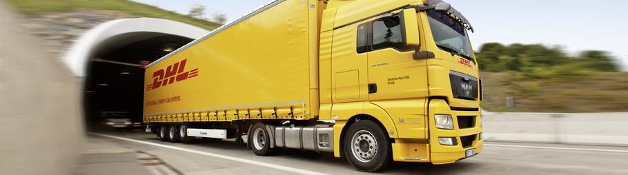 PARCEL MAX BASIC CHARGES Domestic shipments and pallets with weight over 3.