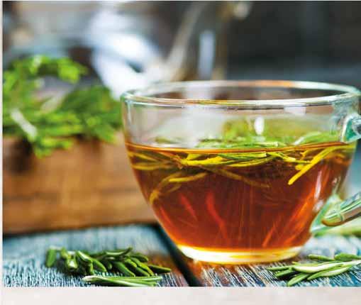 HERBATA EKSPRESOWA ROOIBOS 25