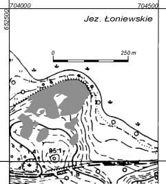Ryc. 4. Osieczna, stan. 4. Rozmieszczenie gleb lekkich w obszarze stanowiska (szare plamy) na podstawie interpretacji zdj ç lotniczych z 1998 roku. Oprac. W. Ràczkowski.