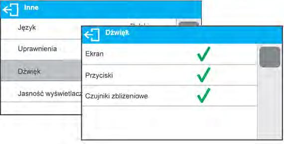 10. INNE PARAMETRY Użytkownik może ustawiać parametry, które mają wpływ na pracę z wagą. Parametry te są zawarte w grupie INNE.