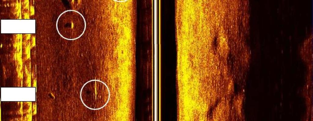 Przykładowe obrazy dna z obu typów sonarów przedstawiono na
