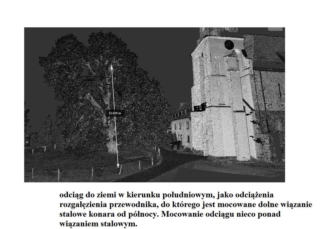 14 miało miejsce w odniesieniu do części konara od strony północno zachodniej.