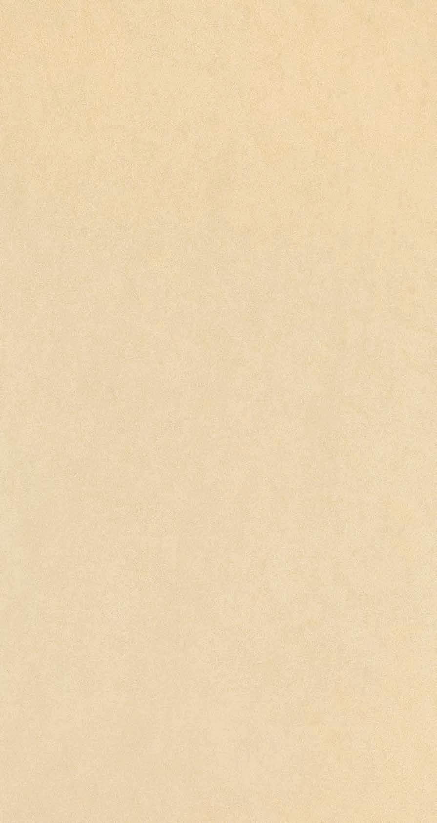 39,7x39,7, 29,7x29,7) / Rectified, natural surface /
