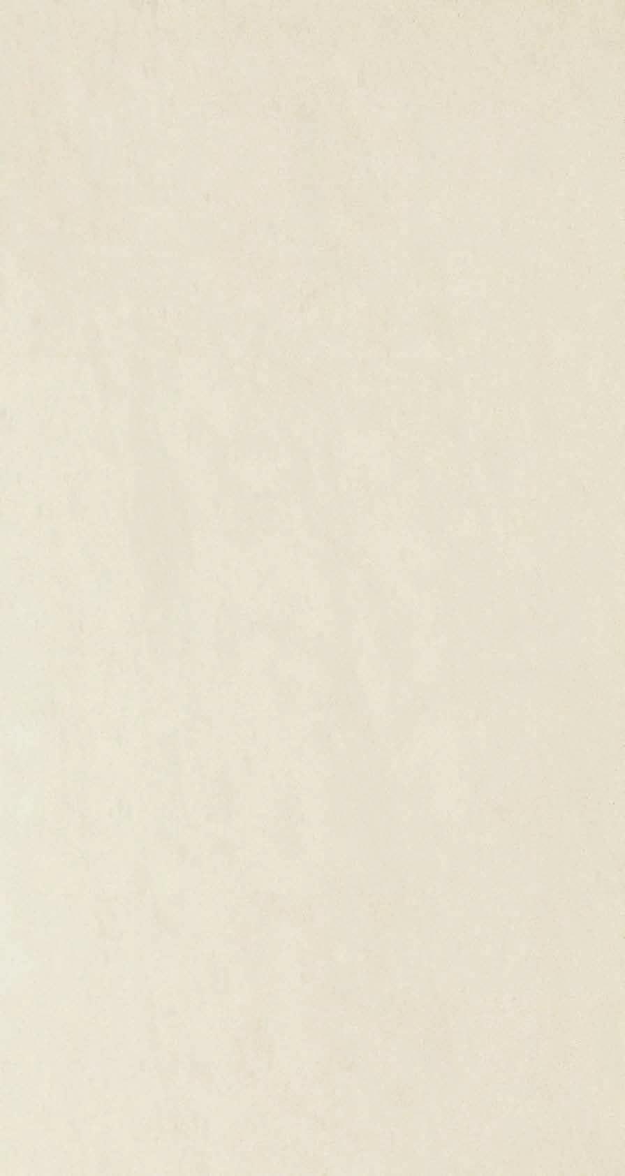 poler R10 I CN 99 29,7x59,7 cm natura 29,7x59,7 cm poler