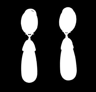 p. 0,750, koral, m. 33,10 g; dł.