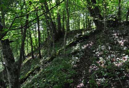 Miejsce położenia wyróżnia się naturalnymi walorami obronnymi, które stanowi od południa bardzo stromy stok erozyjny wzgórza, opadający w kierunku rzeki. Majdan ma formę dość regularnego owalu.