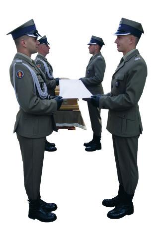 Fot. 7b