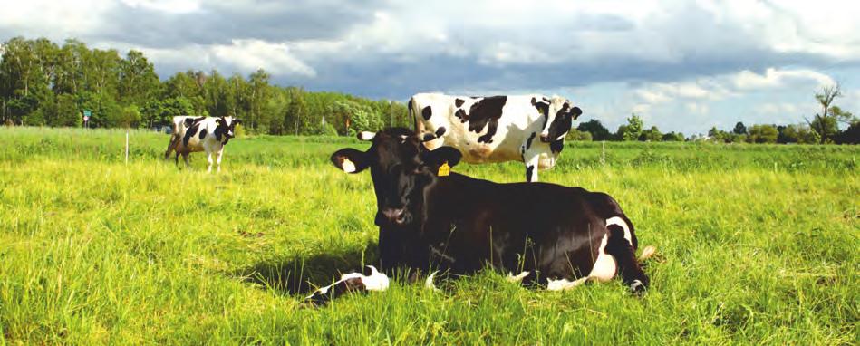 POLISH FEDERATION OF CATTLE BREEDERS AND DAIRY FARMERS The main aim of the milk recording is data collection and processing, in order to provide as many as possible accurate and credible data for