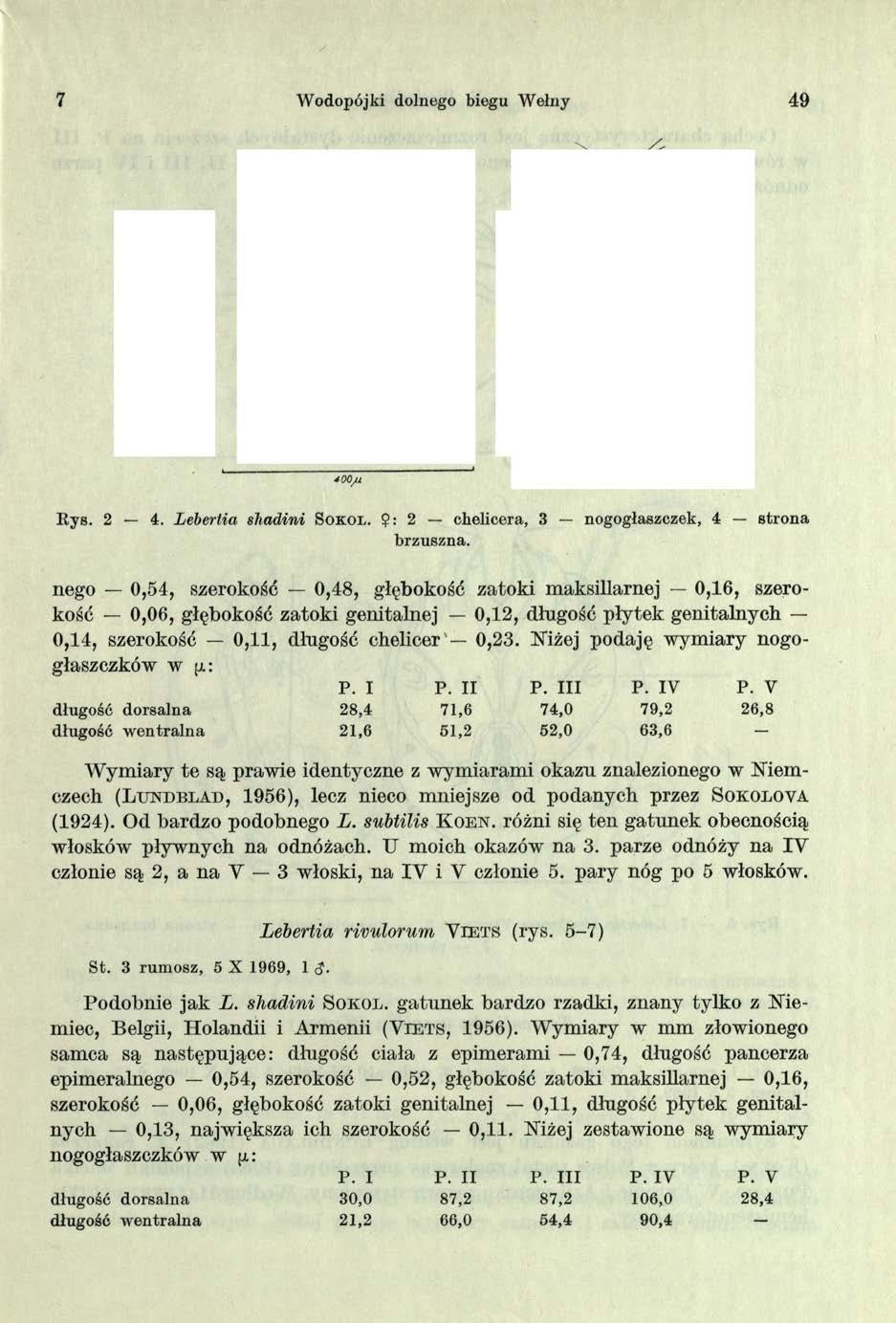 7 Wodopój ki dolnego biegu Wełny 49 Rys. 2 4. Lebertia shadini S o k o l. $: 2 chelicera, 3 nogogłaszczek, 4 strona brzuszna.