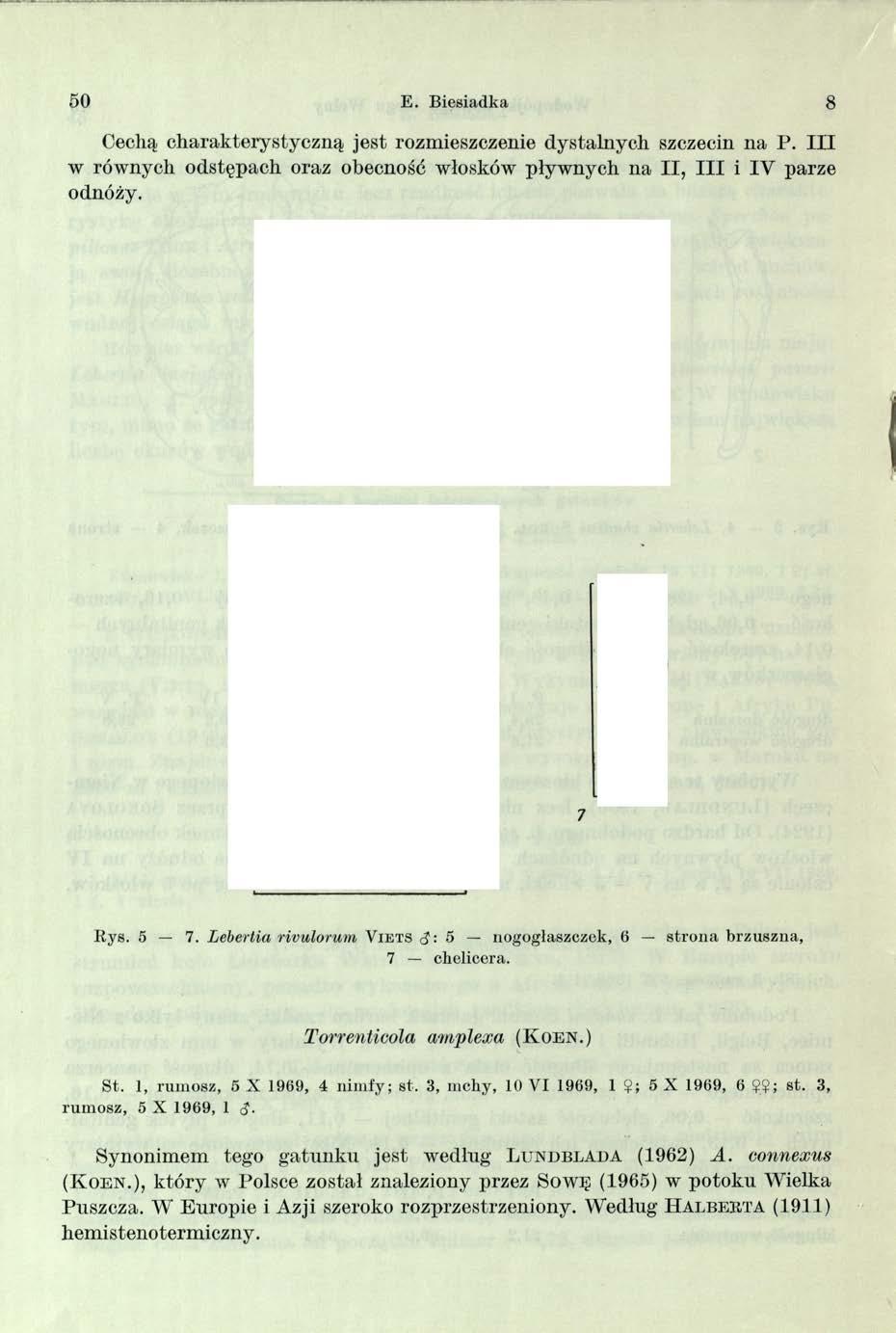 5 0 E. Biesiadka 8 Cechą charakterystyczną jest rozmieszczenie dystalnych szczecin na P.